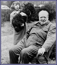 tumblr_lyvqcqc9o61qlqojoo1_250